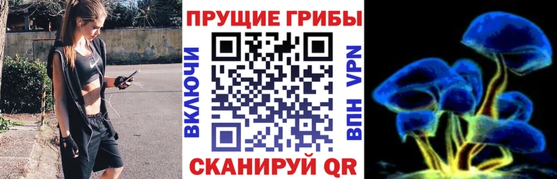 где можно купить   Беслан  Галлюциногенные грибы мухоморы 